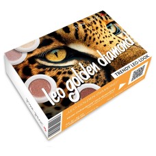 S2-312 Leo Golden Diamond set van 4 gel colours, 5gr