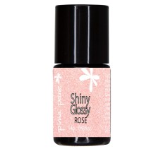 1-237 Shiny Glossy Rose