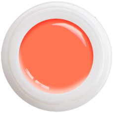 1-25606 Citrus spirit UV-LED gel colour, 5gr 1-25606 Citrus spirit UV-LED gel colour, 5gr
