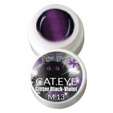 1-2713 Cat-eye Glitter Black Violet, UV-LED gel colour, 5gr
