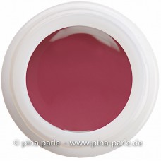 1-25173 Rosewood Creme, UV-LED gel colour, 5gr - Colour